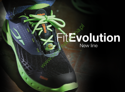 FitEvolution FIT4YOU